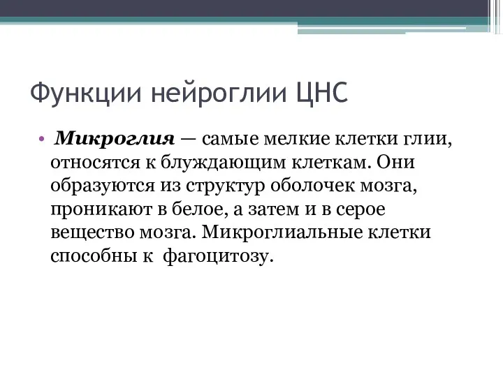 Функции нейроглии ЦНС Микроглия — самые мелкие клетки глии, относятся