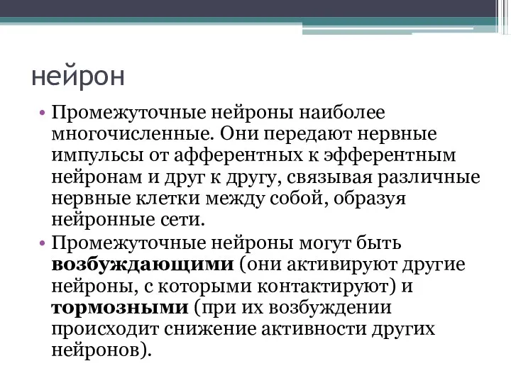 нейрон Промежуточные нейроны наиболее многочисленные. Они передают нервные импульсы от