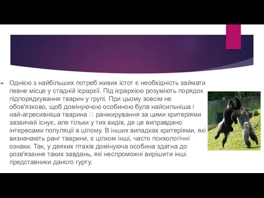 Однією з найбільших потреб живих істот є необхідність займати певне