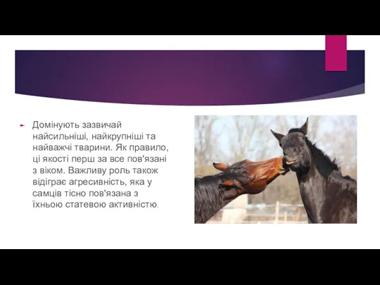 Домінують зазвичай найсильніші, найкрупніші та найважчі тварини. Як правило, ці