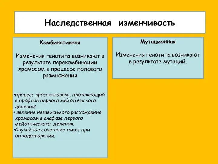 Наследственная изменчивость Комбинативная Изменения генотипа возникают в результате перекомбинации хромосом