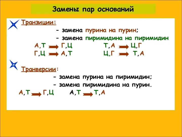 Замены пар оснований Транзиции: - замена пурина на пурин; -