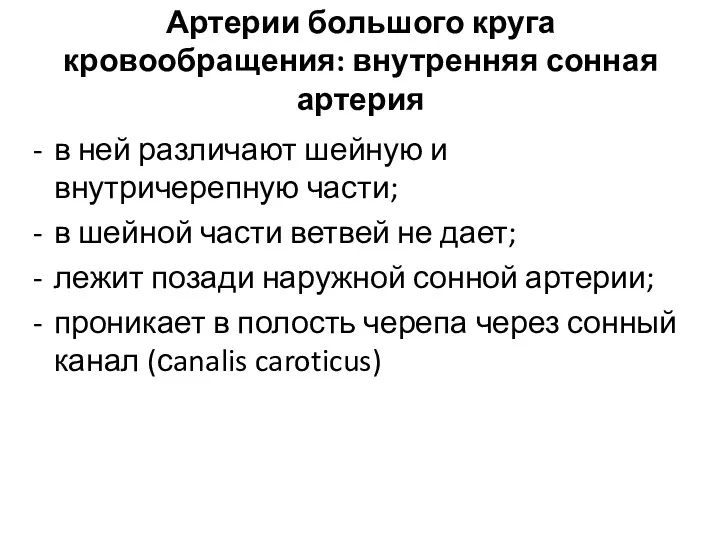 Артерии большого круга кровообращения: внутренняя сонная артерия в ней различают шейную и внутричерепную