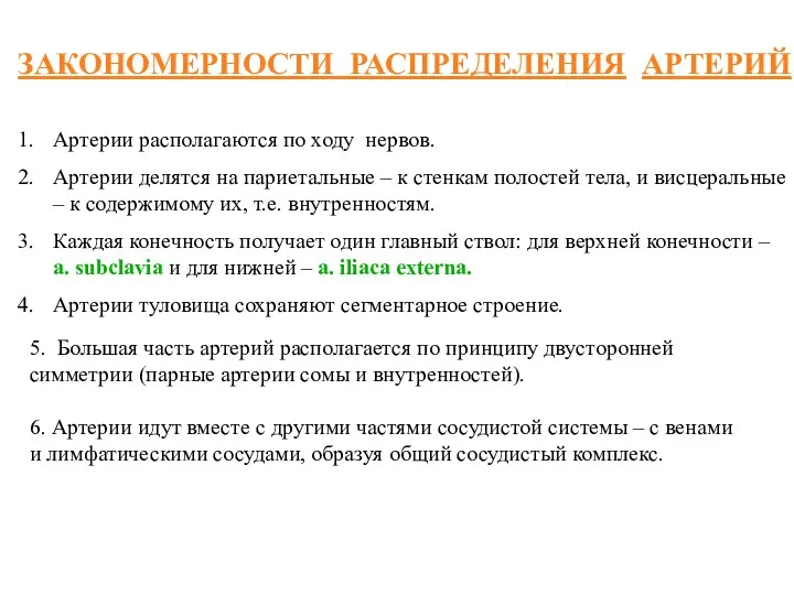 ЗАКОНОМЕРНОСТИ РАСПРЕДЕЛЕНИЯ АРТЕРИЙ Артерии располагаются по ходу нервов. Артерии делятся на париетальные –