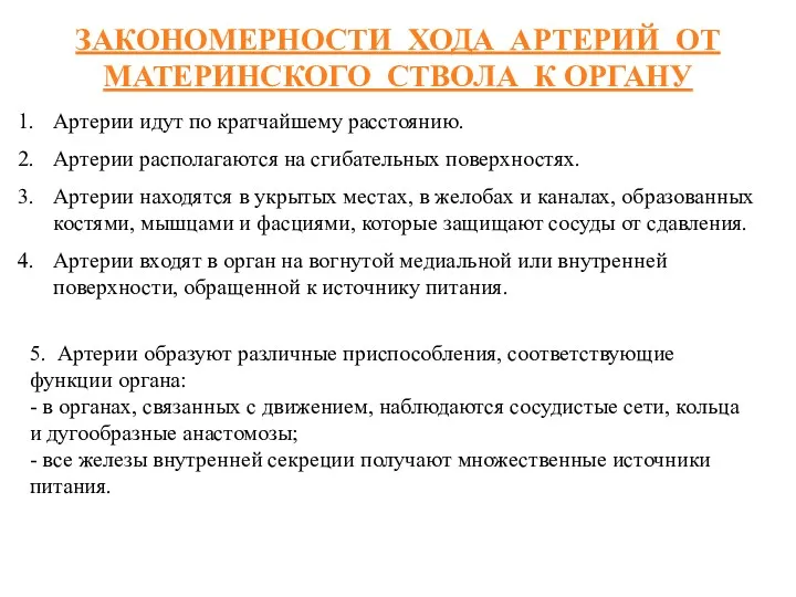 ЗАКОНОМЕРНОСТИ ХОДА АРТЕРИЙ ОТ МАТЕРИНСКОГО СТВОЛА К ОРГАНУ Артерии идут по кратчайшему расстоянию.