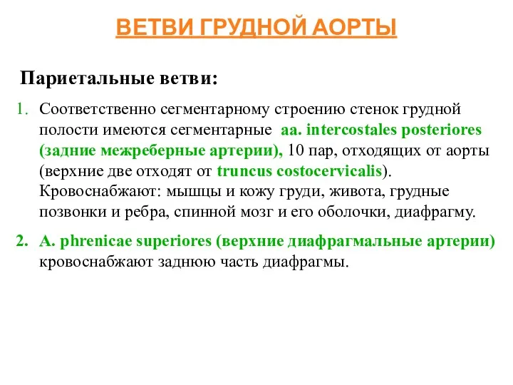 ВЕТВИ ГРУДНОЙ АОРТЫ Париетальные ветви: Соответственно сегментарному строению стенок грудной полости имеются сегментарные