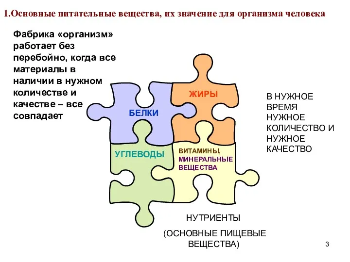 БЕЛКИ ЖИРЫ УГЛЕВОДЫ ВИТАМИНЫ, МИНЕРАЛЬНЫЕ ВЕЩЕСТВА 1.Основные питательные вещества, их