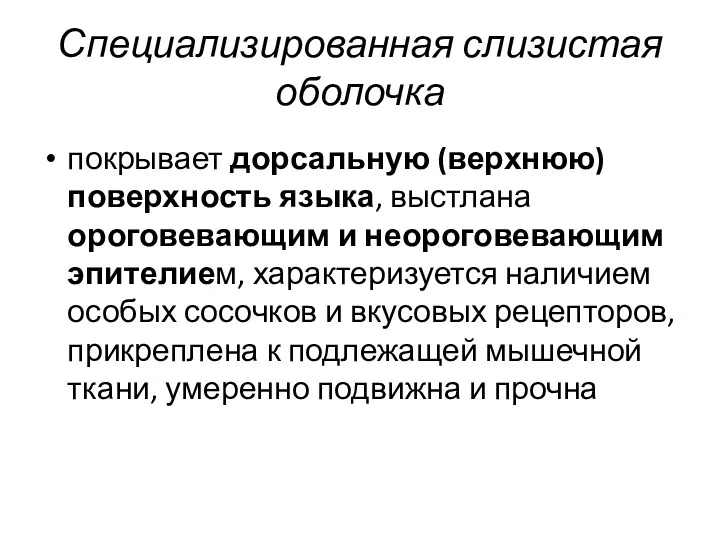 Специализированная слизистая оболочка покрывает дорсальную (верхнюю) поверхность языка, выстлана ороговевающим и неороговевающим эпителием,