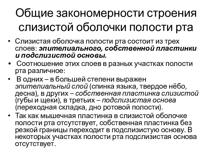 Общие закономерности строения слизистой оболочки полости рта Слизистая оболочка полости