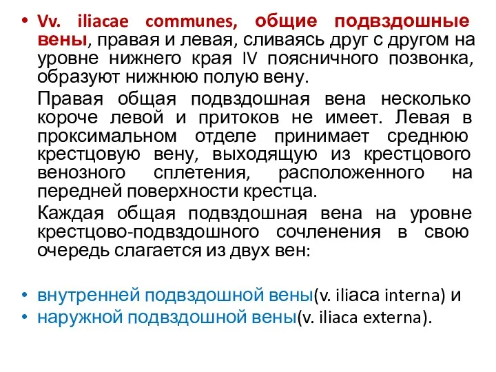 Vv. iliacae communes, общие подвздошные вены, правая и левая, сливаясь друг с другом