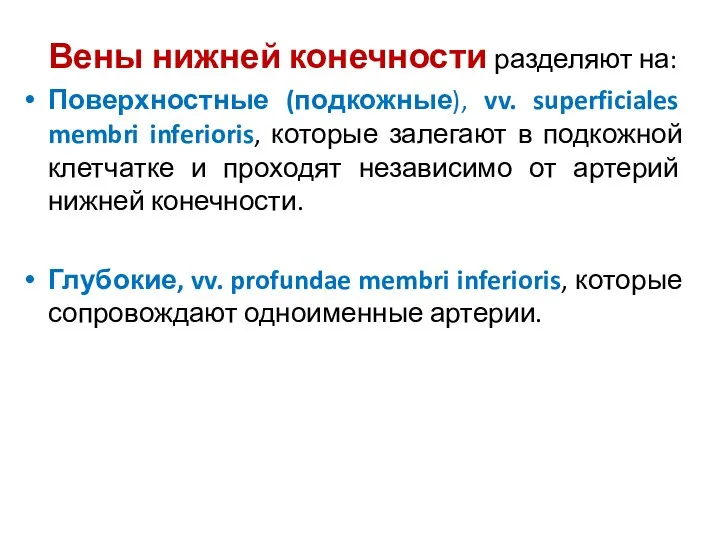 Вены нижней конечности разделяют на: Поверхностные (подкожные), vv. superficiales membri inferioris, которые залегают