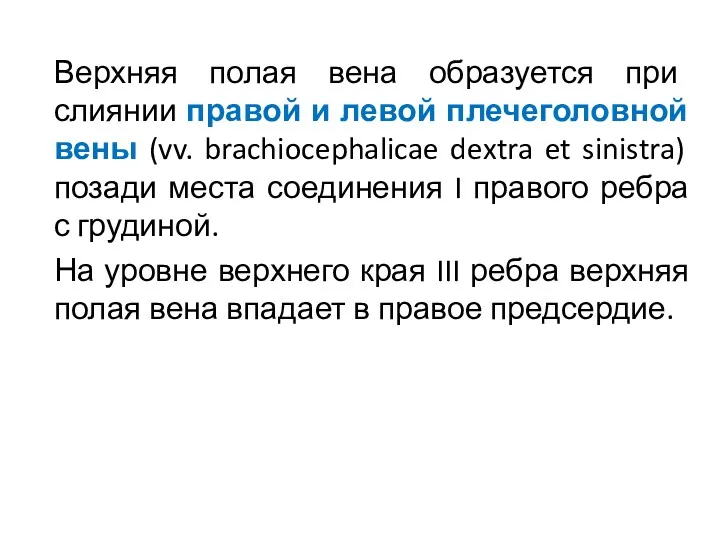 Верхняя полая вена образуется при слиянии правой и левой плечеголовной