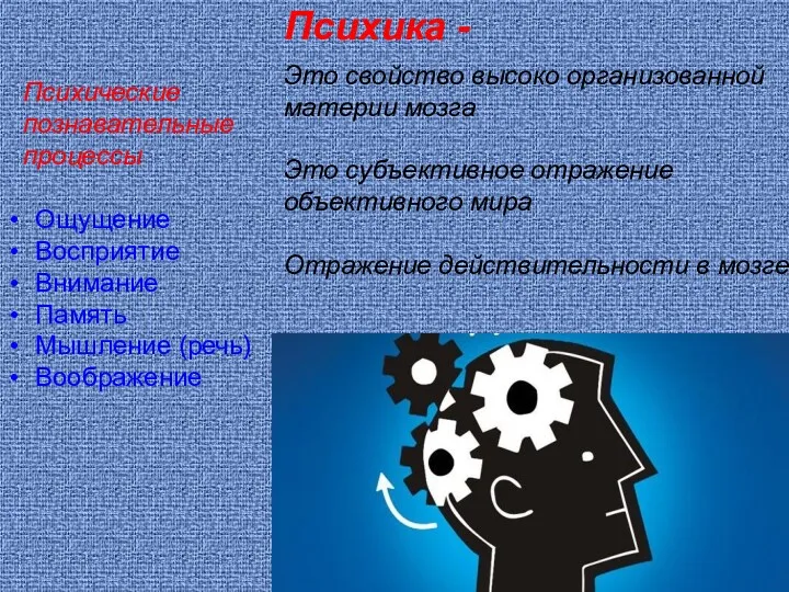Это свойство высоко организованной материи мозга Это субъективное отражение объективного