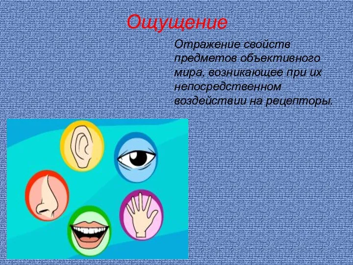 Отражение свойств предметов объективного мира, возникающее при их непосредственном воздействии на рецепторы. Ощущение