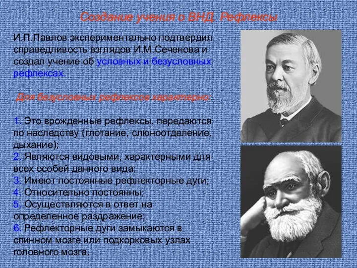 Создание учения о ВНД. Рефлексы И.П.Павлов экспериментально подтвердил справедливость взглядов