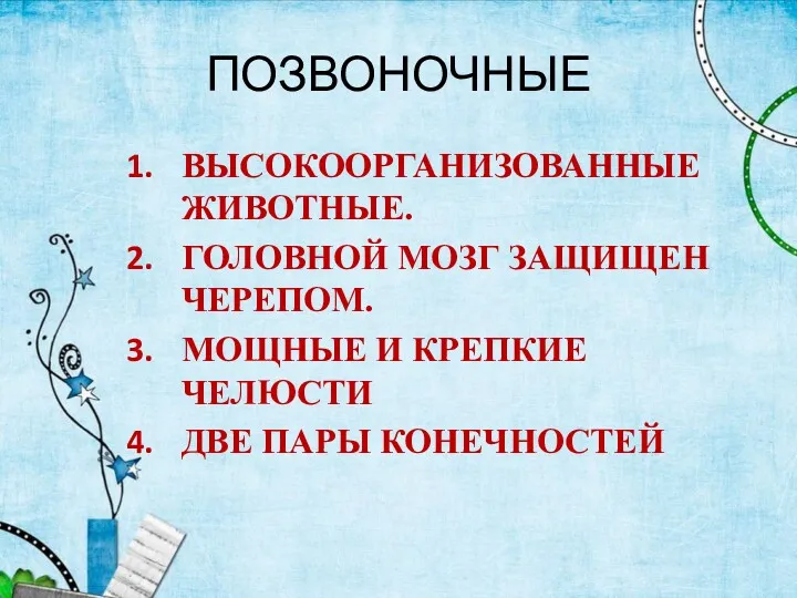 ПОЗВОНОЧНЫЕ ВЫСОКООРГАНИЗОВАННЫЕ ЖИВОТНЫЕ. ГОЛОВНОЙ МОЗГ ЗАЩИЩЕН ЧЕРЕПОМ. МОЩНЫЕ И КРЕПКИЕ ЧЕЛЮСТИ ДВЕ ПАРЫ КОНЕЧНОСТЕЙ