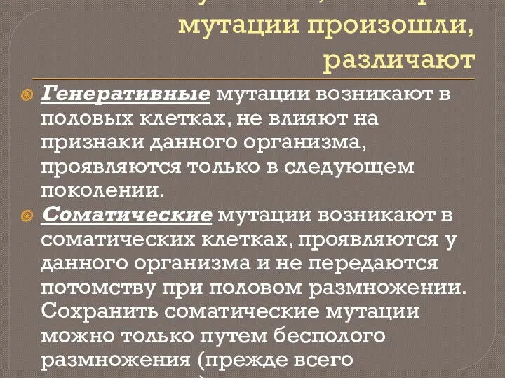 По типу клеток, в которых мутации произошли, различают Генеративные мутации