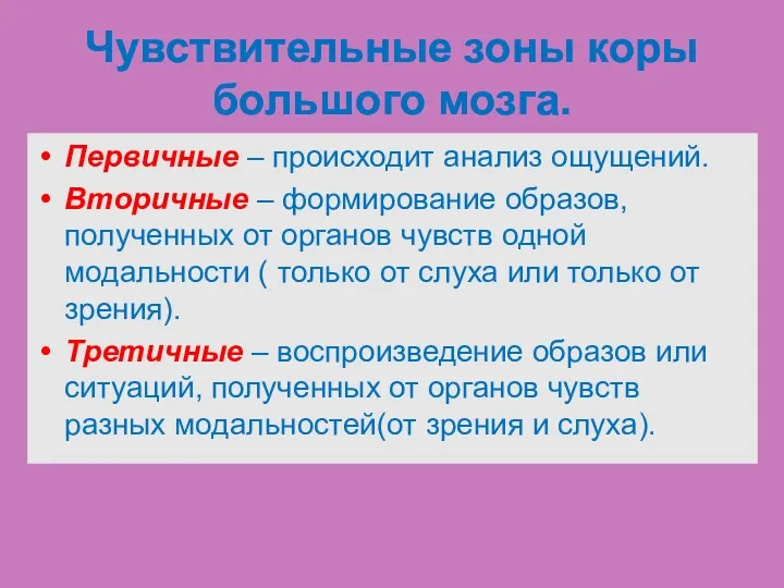 Чувствительные зоны коры большого мозга. Первичные – происходит анализ ощущений.