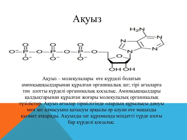 Ақуыз Ақуыз – молекулалары өте күрделі болатын аминқышқылдарынан құралған органикалық