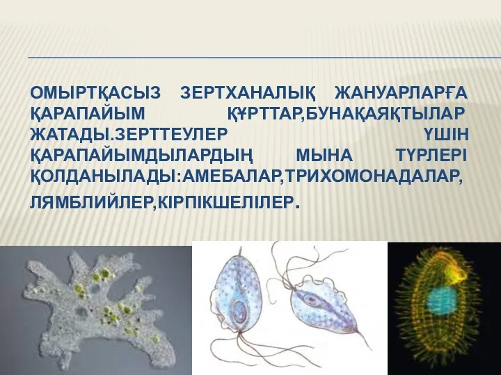 ОМЫРТҚАСЫЗ ЗЕРТХАНАЛЫҚ ЖАНУАРЛАРҒА ҚАРАПАЙЫМ ҚҰРТТАР,БУНАҚАЯҚТЫЛАР ЖАТАДЫ.ЗЕРТТЕУЛЕР ҮШІН ҚАРАПАЙЫМДЫЛАРДЫҢ МЫНА ТҮРЛЕРІ ҚОЛДАНЫЛАДЫ:АМЕБАЛАР,ТРИХОМОНАДАЛАР,ЛЯМБЛИЙЛЕР,КІРПІКШЕЛІЛЕР.