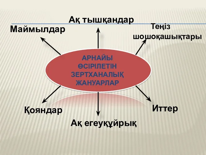 АРНАЙЫ ӨСІРІЛЕТІН ЗЕРТХАНАЛЫҚ ЖАНУАРЛАР Ақ тышқандар Ақ егеуқұйрық Теңіз шошоқашықтары Қояндар Иттер Маймылдар