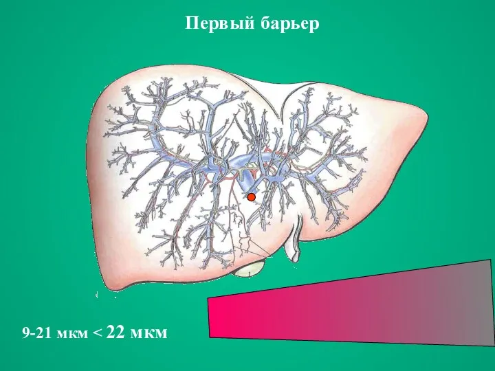 Первый барьер 9-21 мкм