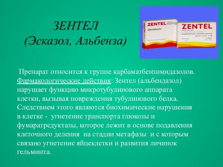 ЗЕНТЕЛ (Эсказол, Альбенза) Препарат относится к группе карбаматбензимидазолов. Фармакологические действия: