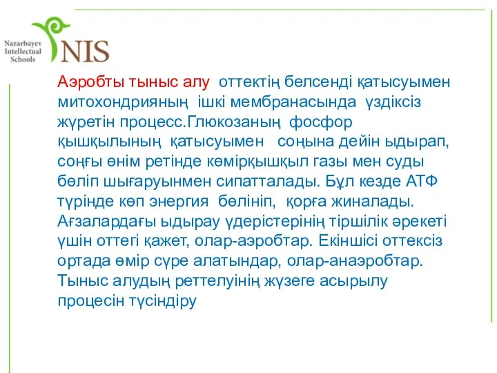 Аэробты тыныс алу оттектің белсенді қатысуымен митохондрияның ішкі мембранасында үздіксіз