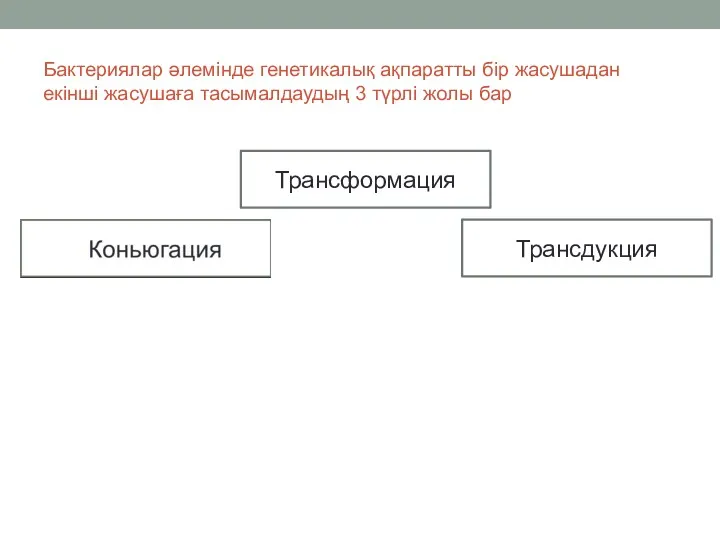 Бактериялар әлемінде генетикалық ақпаратты бір жасушадан екінші жасушаға тасымалдаудың 3 түрлі жолы бар Трансформация Трансдукция