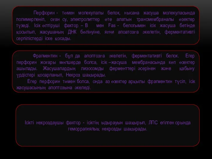 Перфорин - төмен молекулалы белок, нысана жасуша молекуласында полимерленіп, оған