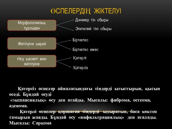 ӨСПЕЛЕРДІҢ ЖІКТЕЛУІ Морфологиялық тұрғыдан Жетілуіне қарай Өсу қасиеті мен жетілуіне