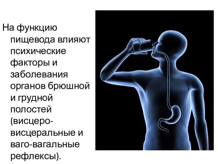 На функцию пищевода влияют психические факторы и заболевания органов брюшной