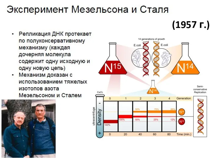 (1957 г.)