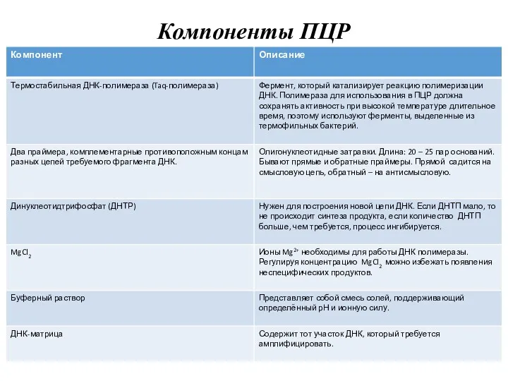 Компоненты ПЦР