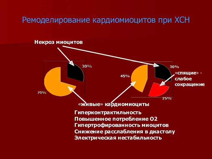 Ремоделирование кардиомиоцитов при ХСН Некроз миоцитов «живые» кардиомиоциты «спящие» -слабое