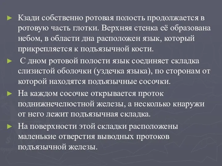 Кзади собственно ротовая полость продолжается в ротовую часть глотки. Верхняя