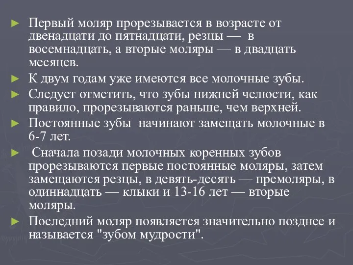 Первый моляр прорезывается в возрасте от двенадцати до пятнадцати, резцы