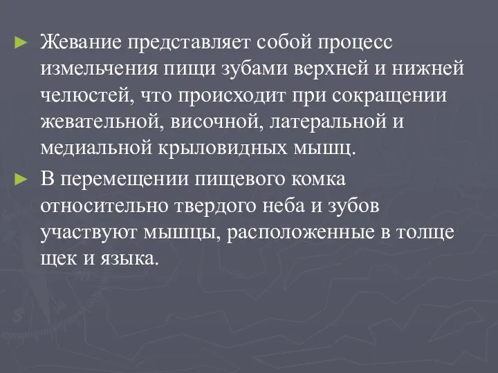 Жевание представляет собой процесс измельчения пищи зубами верхней и нижней