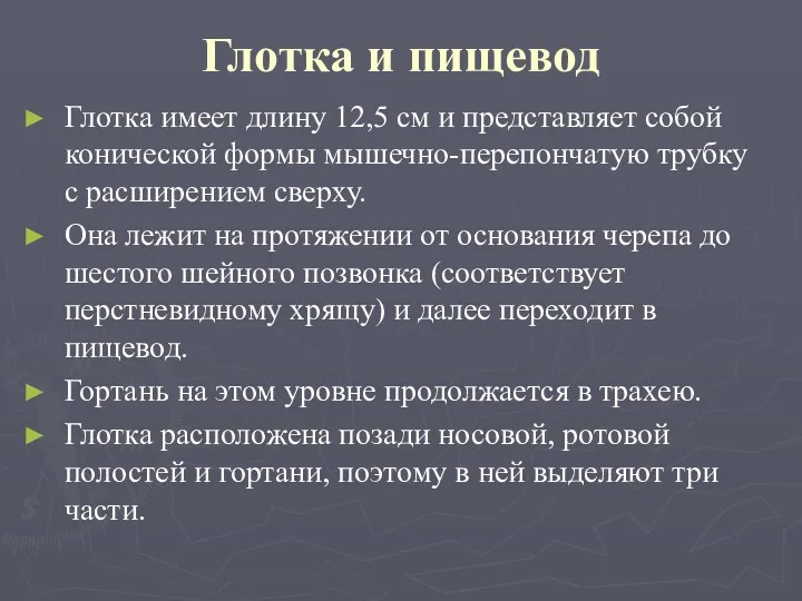 Глотка и пищевод Глотка имеет длину 12,5 см и представляет