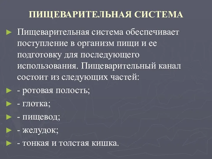 ПИЩЕВАРИТЕЛЬНАЯ СИСТЕМА Пищеварительная система обеспечивает поступление в организм пищи и