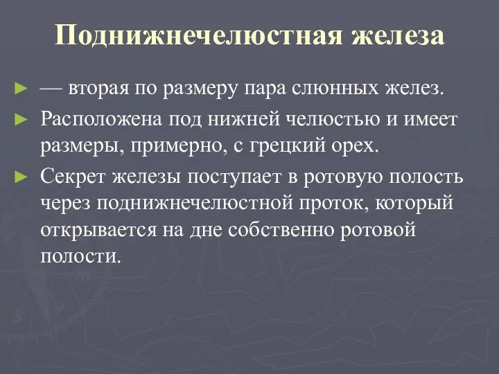 Поднижнечелюстная железа — вторая по размеру пара слюнных желез. Расположена