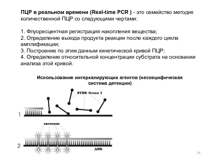 ПЦР в реальном времени (Real-time PCR ) - это семейство