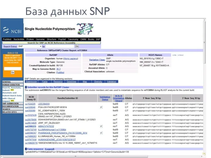 База данных SNP