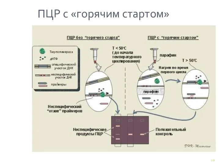 ПЦР с «горячим стартом»