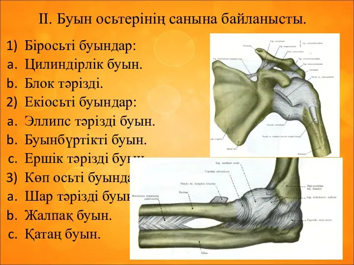 II. Буын осьтерінің санына байланысты. Біросьті буындар: Цилиндірлік буын. Блок