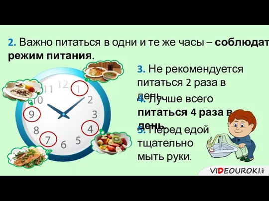 2. Важно питаться в одни и те же часы – соблюдать режим питания.