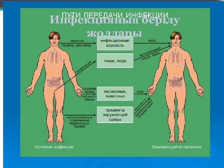 Инфекцияның берілу жолдары