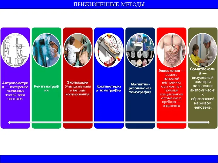 ПРИЖИЗНЕННЫЕ МЕТОДЫ