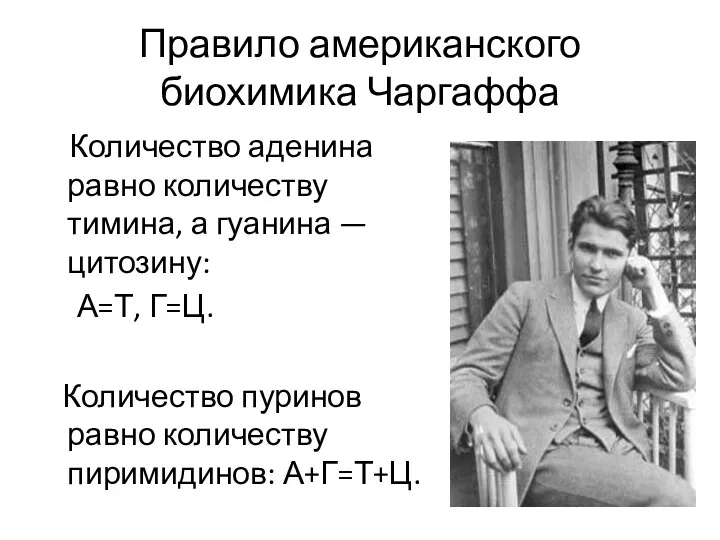 Правило американского биохимика Чаргаффа Количество аденина равно количеству тимина, а