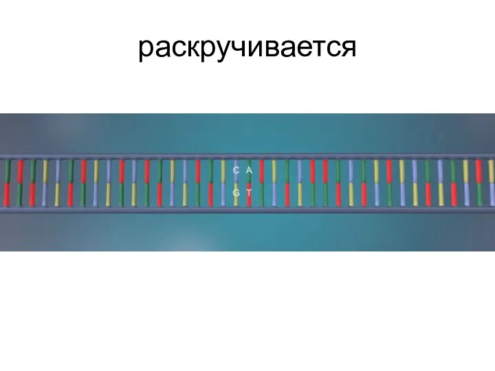 раскручивается